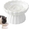 Gonalulu Elevated Ceramic Slow Feed Dish for Cats and Small