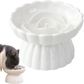 Gonalulu Elevated Ceramic Slow Feed Dish for Cats and Small Dogs, Flower Pool Design Pet Slow Feeder with Higher Edges,Raised Pet Bowl for Dry & Wet Food (White)