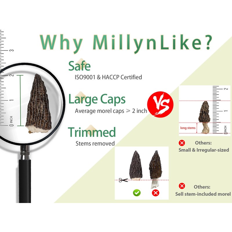MillynLike Dried Morel Mushrooms Trimmed Stems & Large Caps (2+