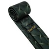 YourTies Green Ties for Men Silk Tie and Pocket Square