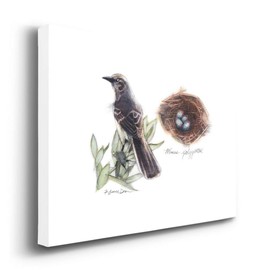 Renditions Gallery Bird & Nest Study I Wall Art, Northern Mockingbird Drawing Vibrant & Colorful Premium Gallery Wrapped Canvas Decor, Ready to Hang, 32 In H x 48 In W, Made in America Print Artwork