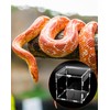 QWORK® Reptile Acrylic Feeding Box, 15 x 15 x 15