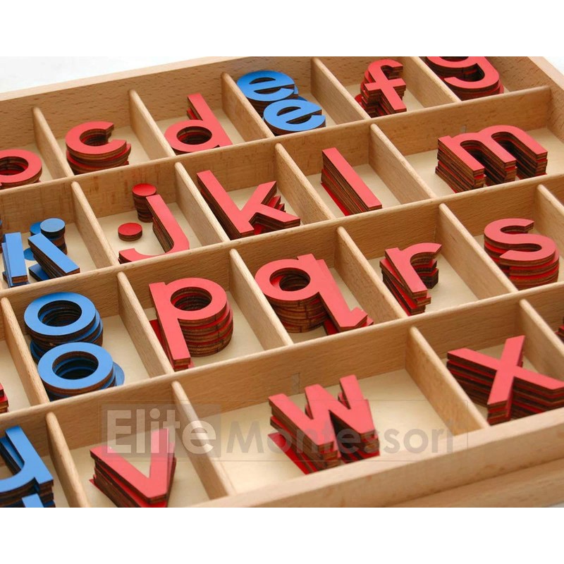 Elite Montessori Wooden Movable Alphabet with Box Preschool Spelling Learning...