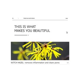 BIOAQUA Blueberry Arbutin Moisturizing Facial Mask Hydrates Skin Delicate Care Silky Smooth 4ml (20 pack)