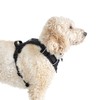 Mikki Doodles Harness for Dogs, Puppies, Adjustable, Quick Release Buckles,