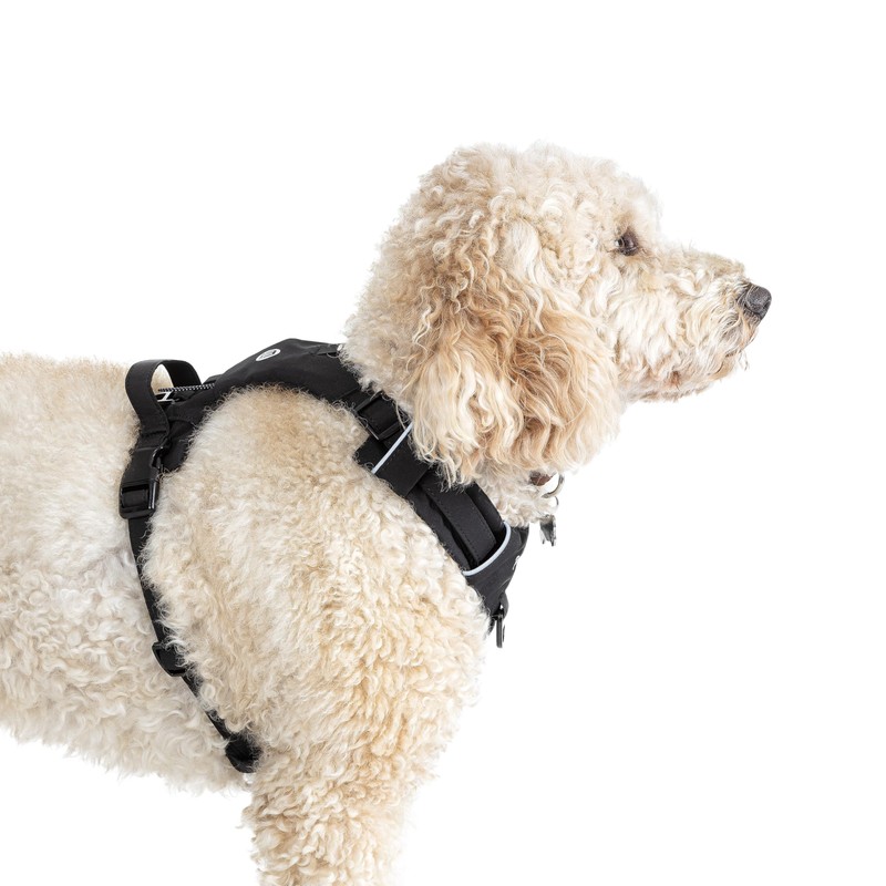 Mikki Doodles Harness for Dogs, Puppies, Adjustable, Quick Release Buckles,