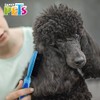 Fancy Pets Cepillo de Cerdas Suaves para Perro Tamaño Chico