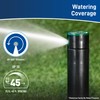 Orbit 55461 Voyager Screw Top Gear Drive Rotor Water Sprinkler