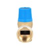 Watts Membrane Safety Valve Relief Valve 10 Bar