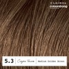 CLAIROL COLOUR STRONG PERMANENT HAIR DYE - 5.3 MEDIUM GOLDEN