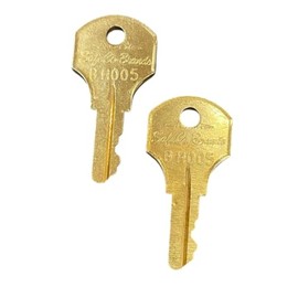 SafeCo Brands Replacement Fire Alarm Keys 2-Keys (BH005 Global/G Force)