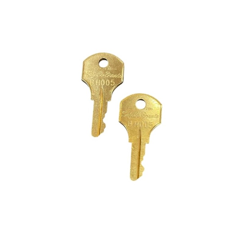 SafeCo Brands Replacement Fire Alarm Keys 2-Keys (BH005 Global/G Force)