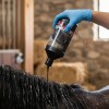 Shampoo Capa Negra 1l Equinotec Para Caballos