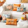 Artscope Fall Decorative Throw Pillow Covers 18x18 Inch Set of
