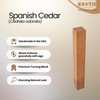 Exotic Wood Zone Spanish Cedar Turning Blank, Kiln Dried Hardwood