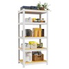 VDEVY 5 Tier 24" W x 16" D x 60"