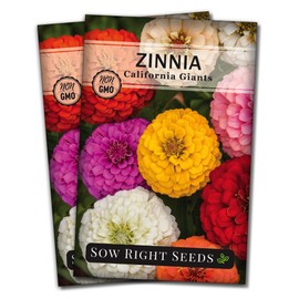 Sow Right Seeds California Giant Zinnia Seeds - Full Instructions for Planting, Beautiful to Plant in Your Flower Garden; Non-GMO Heirloom Seeds; Wonderful Gardening Gifts (2)
