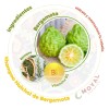Shampoo Huichol Bergamota Té Verde, Crecimiento 250 Ml