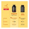 Maca Negra Orgánica B Life 70 Cápsulas Energía Natural Sin