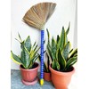 (2 Packs) Vietnamese Straw Brooms - 40" Indoor Brooms with
