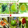 Morcheiong 60Pcs Fruit Protection Bags 6" x 8", Reusable Fruit