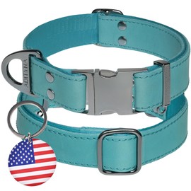 ADITYNA Leather Dog Collar with Metal Buckle - Heavy-Duty, Adjustable for Medium & Large Dogs - Walking, Training, Hiking (Blue, Fits 15-21" Necks)