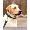 Reflective Dog Collar with Buckle Adjustable Safety Nylon Collars for