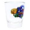 Texas Lone Star State Elements Shot Glass
