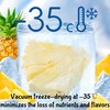 Freeze-Dried Pineapple Crisps | Snacks with No Added Sweeteners |