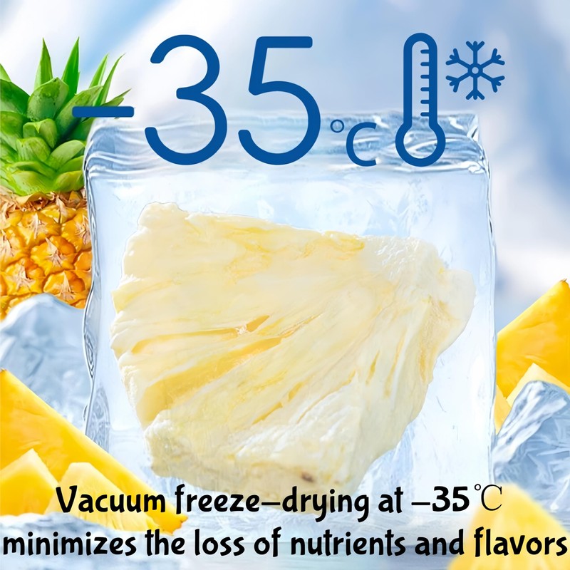 Freeze-Dried Pineapple Crisps | Snacks with No Added Sweeteners |
