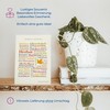 Deine Wörter Postcard Set - 5 Postcards with Autumn, Unique