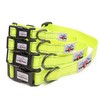 Long Paws Neon Dog Collar, Reflective Collar, High Viz, Dog