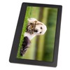 11.6in Digital Picture Frame High Definition HD Multimedia Interface Input