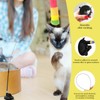 EujRcf 7 Piece Cat Toys for Indoor Cats, Interactive Kitten