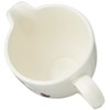 Portmeirion Botanic Garden Traditional Cream/Milk Jug (Cream Jug)