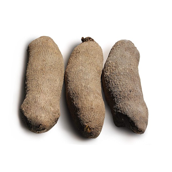 Tropical Importers Fresh African Yam Tubers Roots Ñame 10 Pounds
