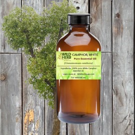 White Camphor Essential Oil (CAM32) sourced from a USDA and ISO 9001 Certified Organic Supplier