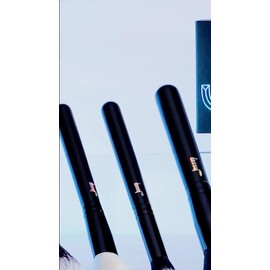 Jessup Kit de 10 brochas de maquillaje de lana T323 Profesionale