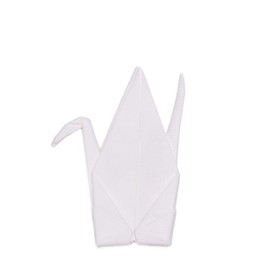 Perrocaliente Peti Peto Cleaning Cloth, Origami Design