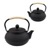 SECHUDO Japanese Tetsubin Cast Iron Teapot Tea Kettle pot with