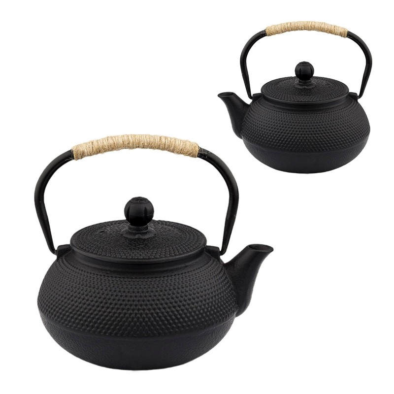 SECHUDO Japanese Tetsubin Cast Iron Teapot Tea Kettle pot with