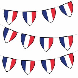AK Giftshop France Pennant Flag Bunting Birthday Wedding Events Decorations - 12pcs / 2.5m Ribbon