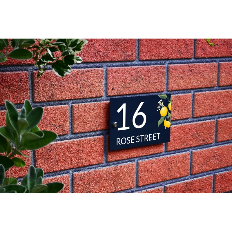 Badgemaster Modern Anthracite House Number Sign Plaque Stainless Steel Standoffs