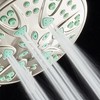 AquaDance Antimicrobial – Anti-Clog High-Pressure 6-Setting Shower Head with Nozzle