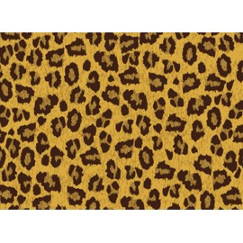 Autograph Book: Leopard Print Cover | Autograph Book for Adults & Kids, 150 Blank Pages, Starlight Design, Keepsake, Size 8.25" x 6" By Antonie Busch