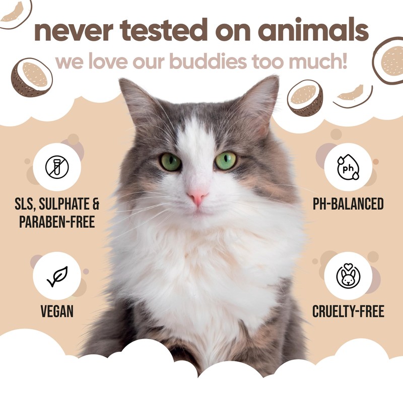 Coconut Cat Conditioner by Buddycare (16.90oz)