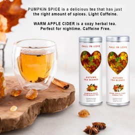 Fall Tea Gift Set by La Tea Dah | Two Delicious Autumn Tea Flavors in Festive Packaging | 6 Pumpkin Spice Tea Bags & 6 Hot Apple Cider Tea Bags (12 Sachets)