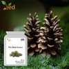 Pine Bark Extract 250 mg | 90 Vegan Capsules |
