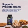 Suplemento Prostático-mejora Salud Rendimiento Masculino