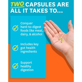 Zenwise No Bloat – Probiotics & Digestive Enzymes Supplement with Ginger, Dandelion & Lactase – Supports Digestion, Relieves Bloating & Gas – 100 Capsules